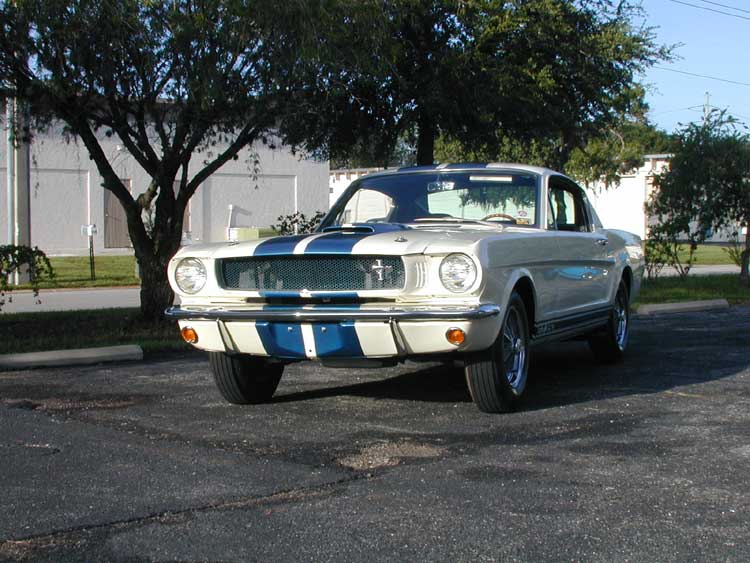 1965 GT 350