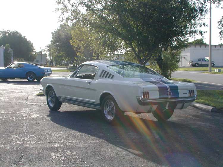 1965 GT 350