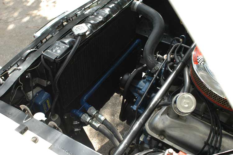 1966 Shelby Notchback Racer