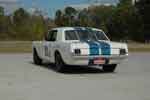 1966 Shelby Notchback Racer